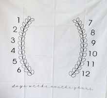 Load image into Gallery viewer, Baby Monthly Milestone Blanket - Classic