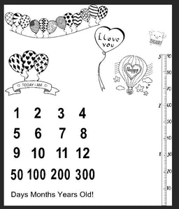 Baby Monthly Milestone Blanket - Classic