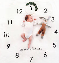 Load image into Gallery viewer, Baby Monthly Milestone Blanket - Classic
